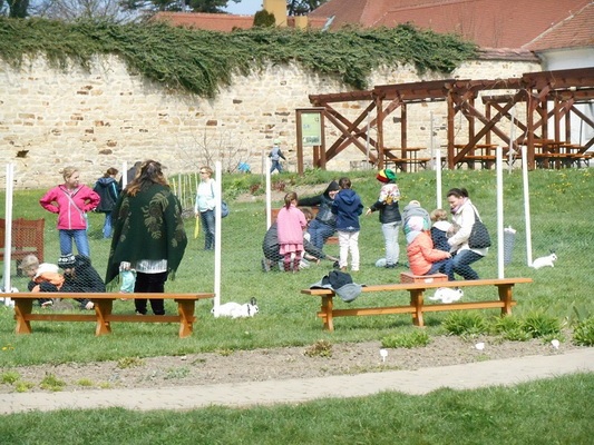 h17.jpg h17.jpg